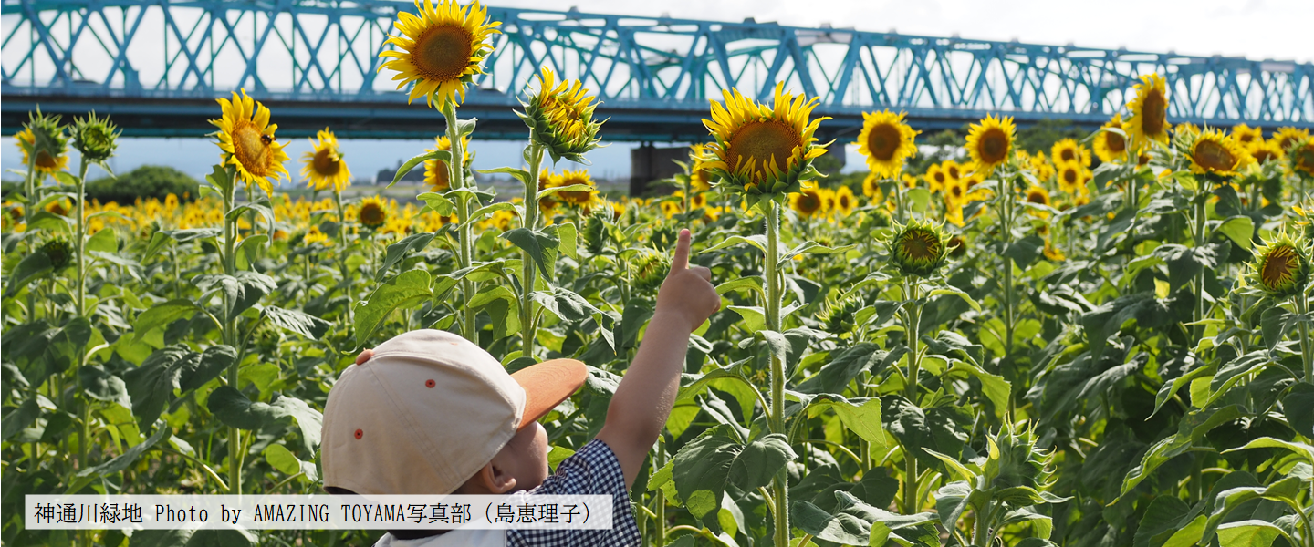 夏の写真