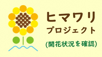 バナー：ヒマワリプロジェクト