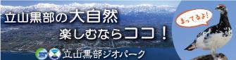 立山黒部ジオパーク　立山黒部の大自然　楽しむならココ！（外部リンク・新しいウィンドウで開きます）