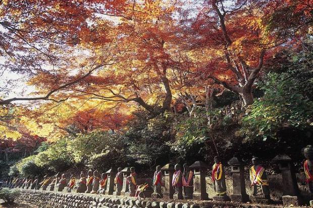 写真：五百羅漢