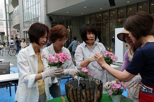 写真：苗を植えている様子2