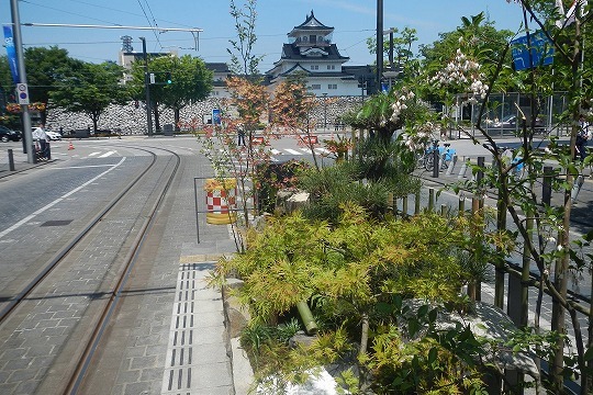 写真：停留場緑化装飾