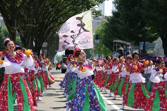 写真：よさこいとやま1