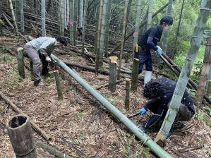 写真：切り出しの様子