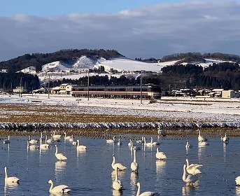 写真：雪景色