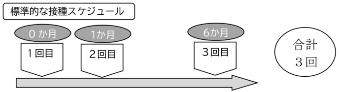 サーバリックスのスケジュールの画像。標準的な接種スケジュールは、2回目は1回目の1か月後、3回目は1回目の6か月後に接種。合計3回接種。