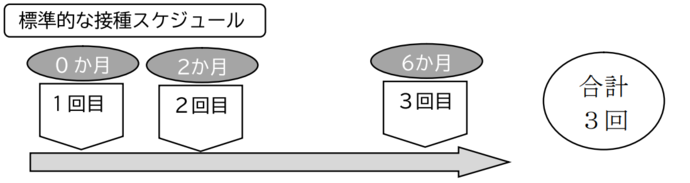 ガーダシルのスケジュールの画像。標準的な接種スケジュールは、2回目は1回目の2か月後、3回目は1回目の6か月後に接種。合計3回接種。