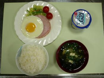 写真：ご飯メニュー2