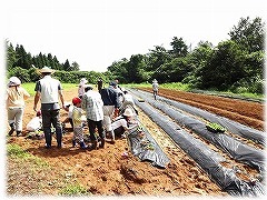 写真：種まきの様子