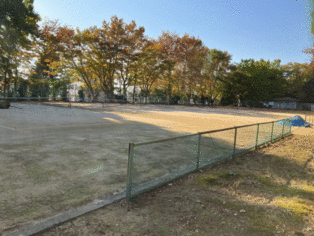 写真：馬場記念公園庭球場