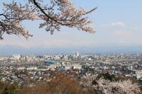 写真：桜の間から（呉羽山展望台）