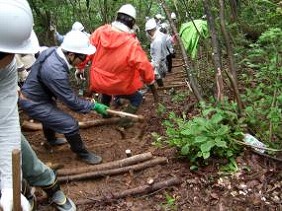 写真：平成23年5月28日「森づくり活動」の様子1