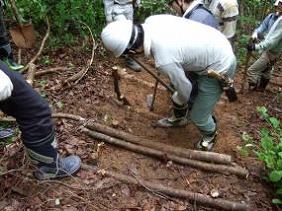 写真：平成23年5月28日「森づくり活動」の様子2