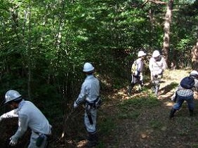 写真：平成24年8月4日「森づくり活動」の様子1