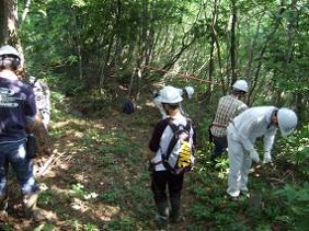 写真：平成24年8月4日「森づくり活動」の様子2
