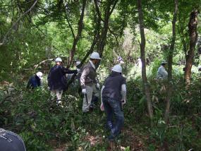 写真：平成23年5月15日森づくり活動の様子1