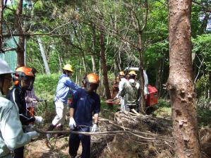 写真：平成24年5月13日森づくり活動の様子1