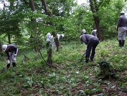 写真：6月7日作業の様子