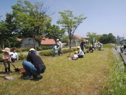 写真：6月6日下刈り作業2