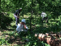 写真：5月21日作業の様子