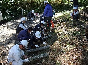 写真：森づくり活動の様子15