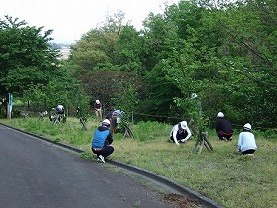 写真：森づくり活動の様子17