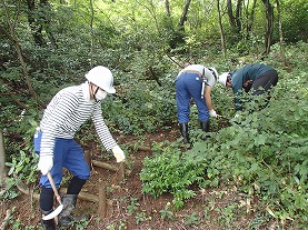 写真：森づくり活動の様子7