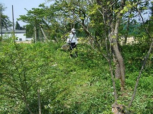 写真：森づくり活動の様子3