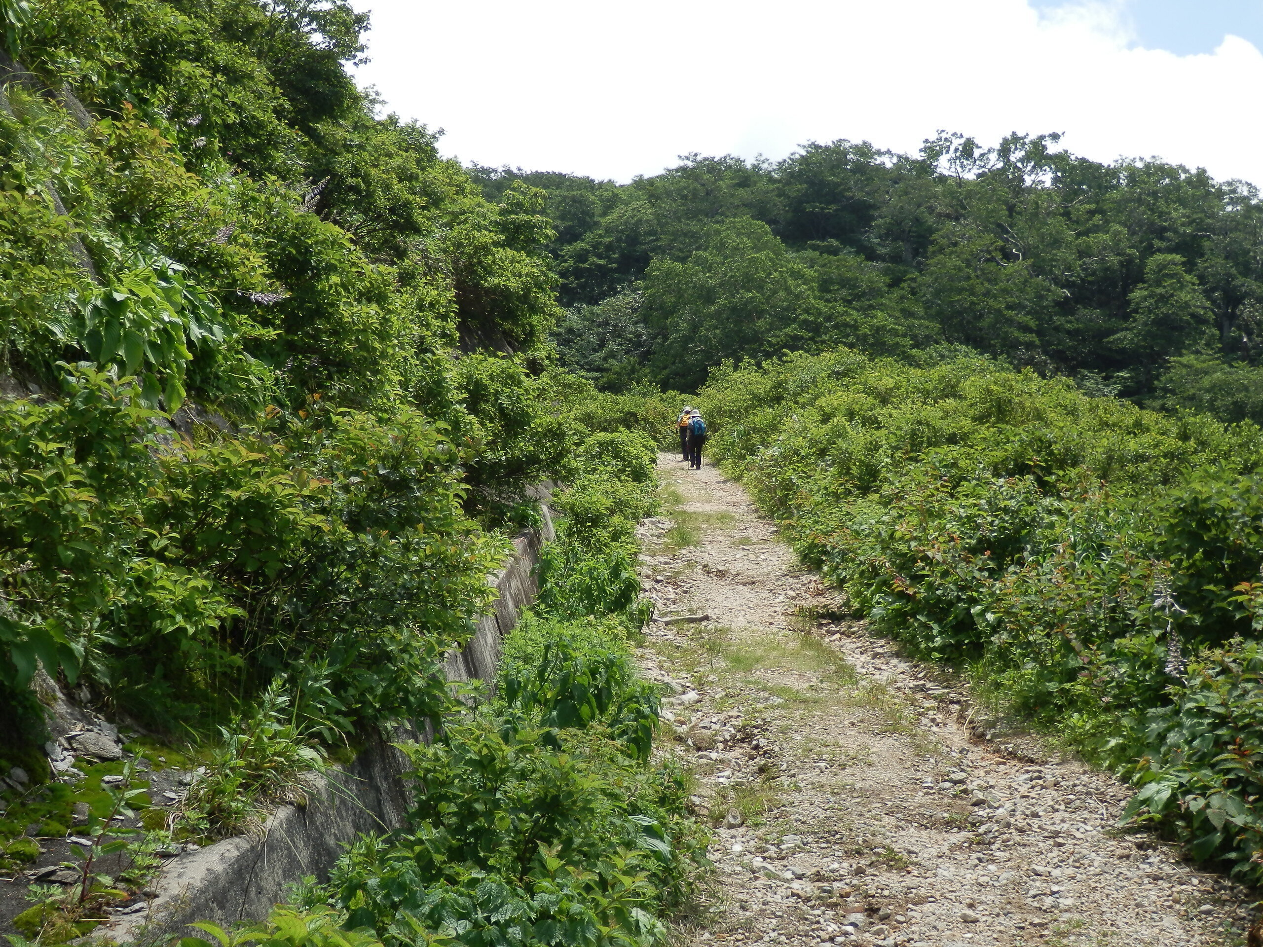 写真：白木峰　管理道ルート4