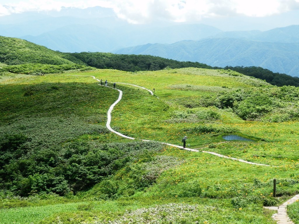 写真：白木の湿原