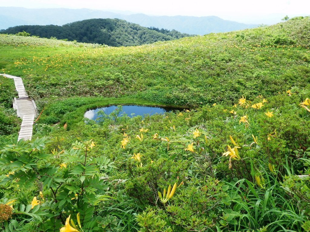 写真：三段の池