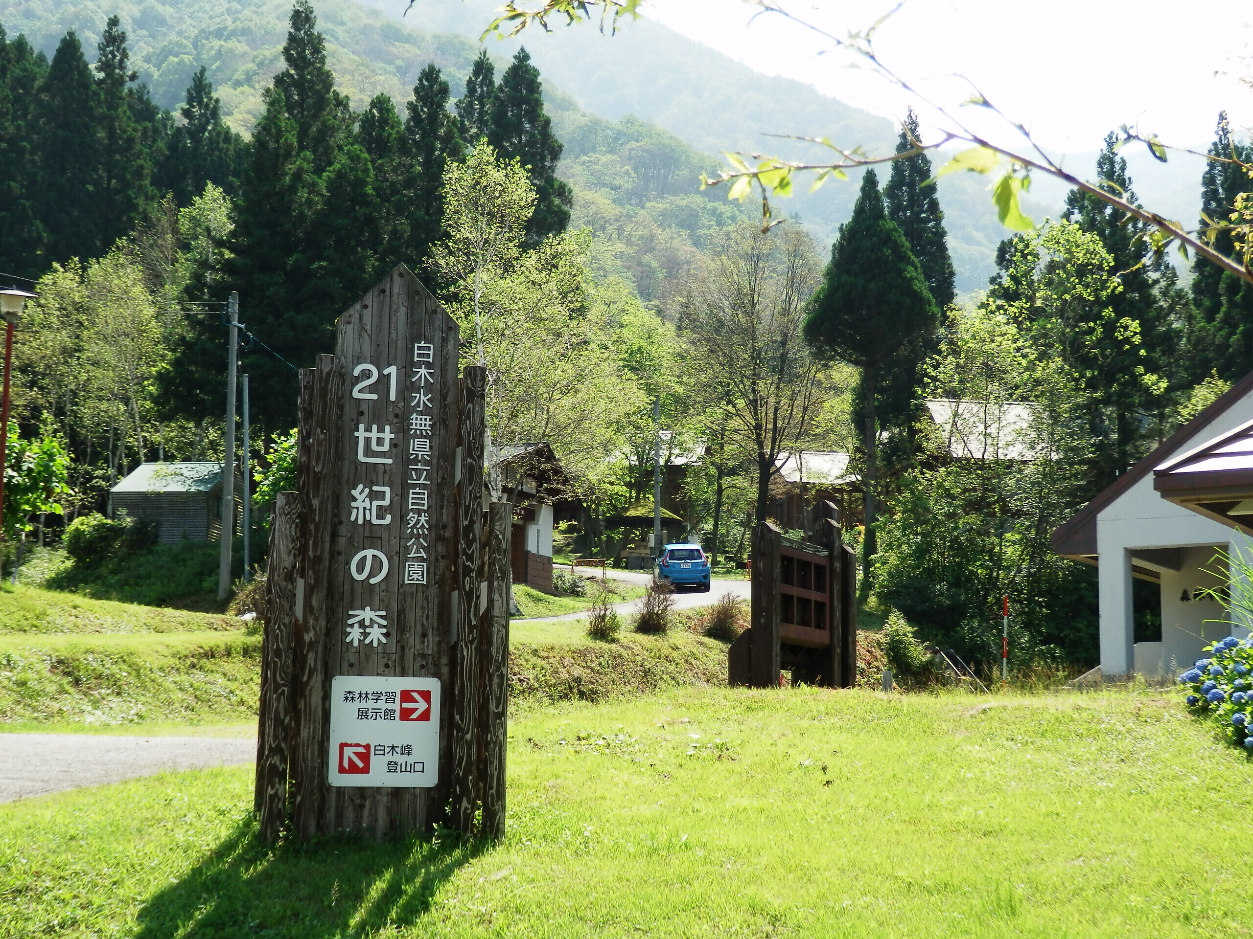 写真：森林学習展示館　キャンプ場