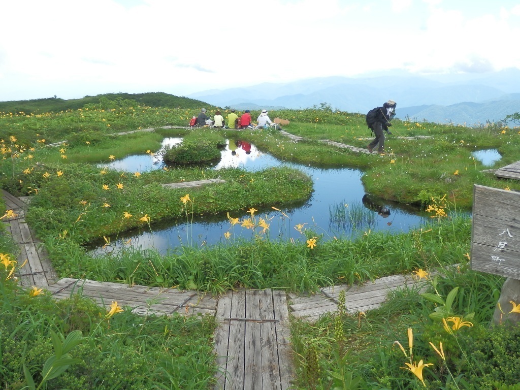 写真：浮島の池