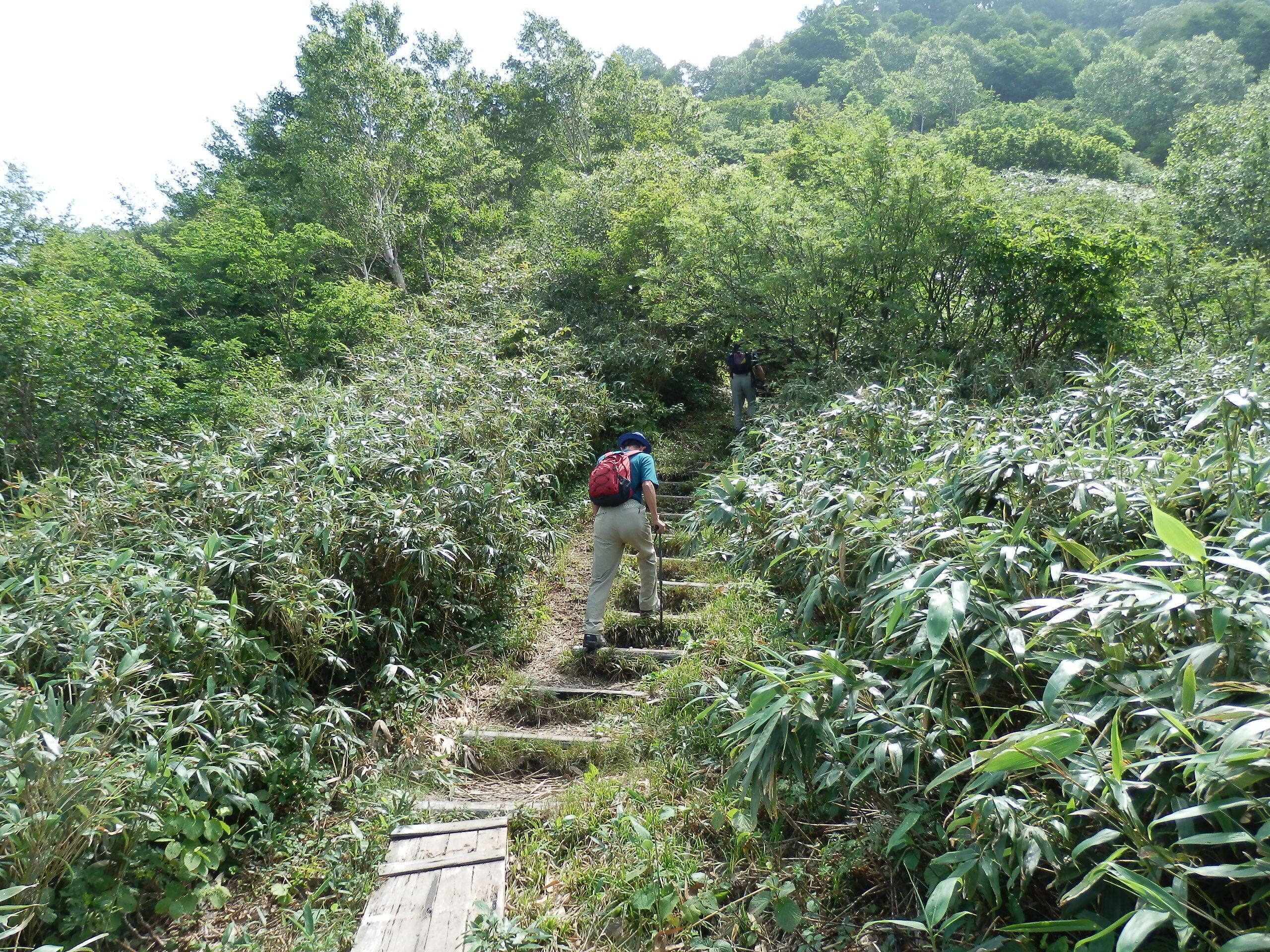 写真：白木峰　登山道ルート