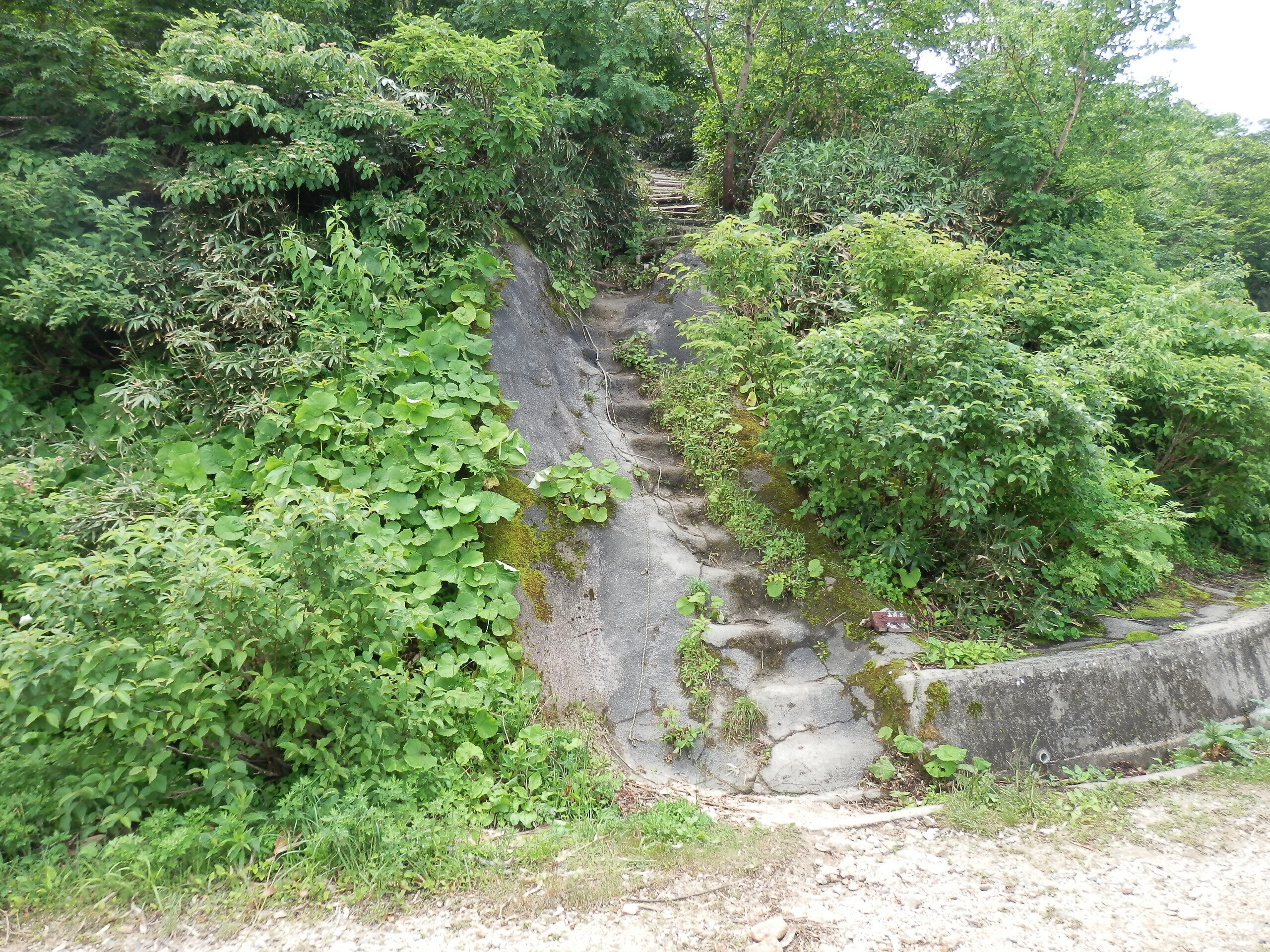 写真：白木峰　登山道ルート3
