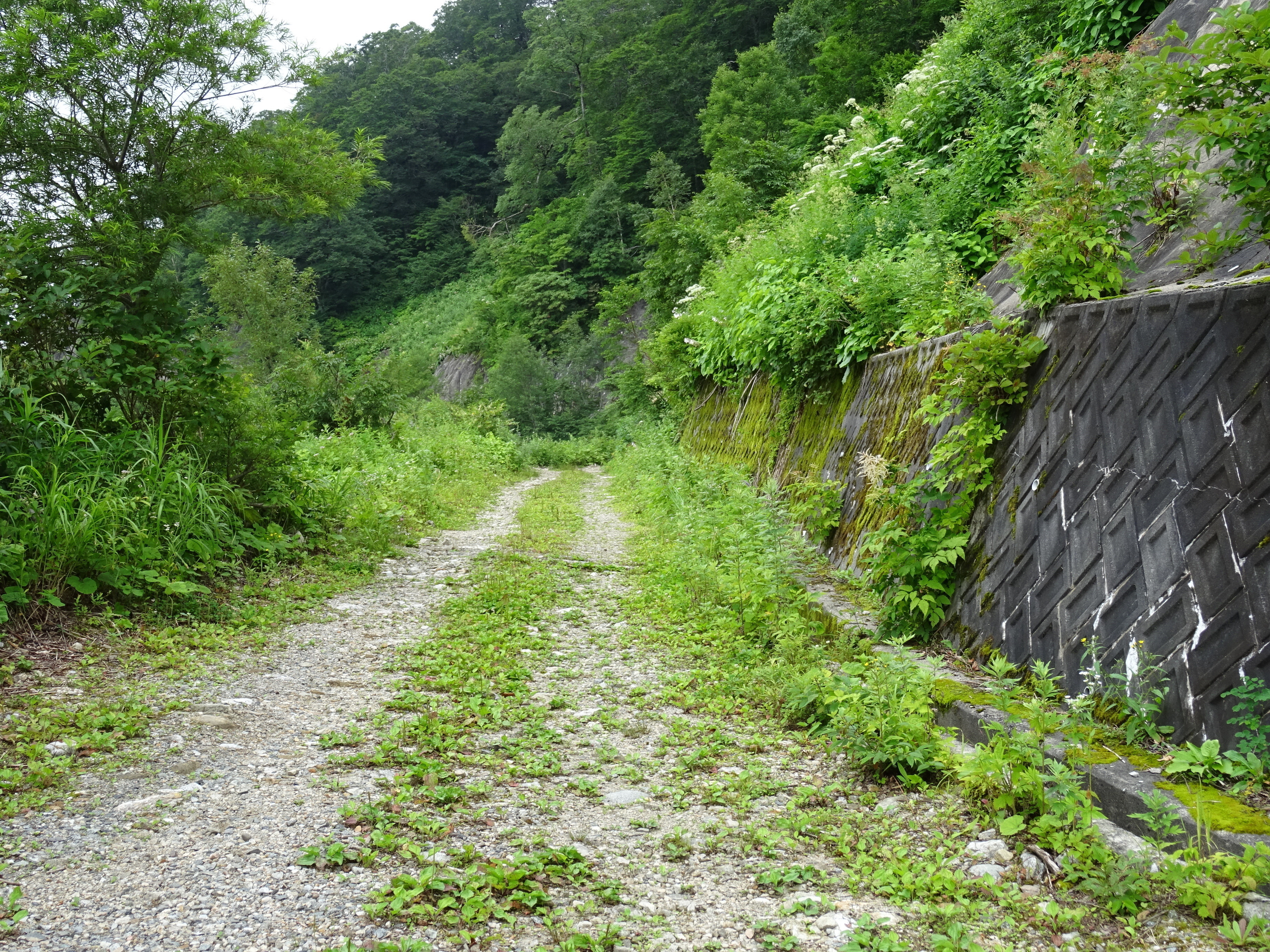 写真：白木峰　管理道ルート2