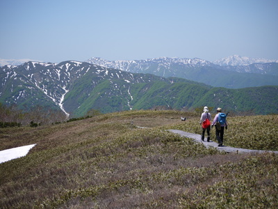 写真:金剛堂山