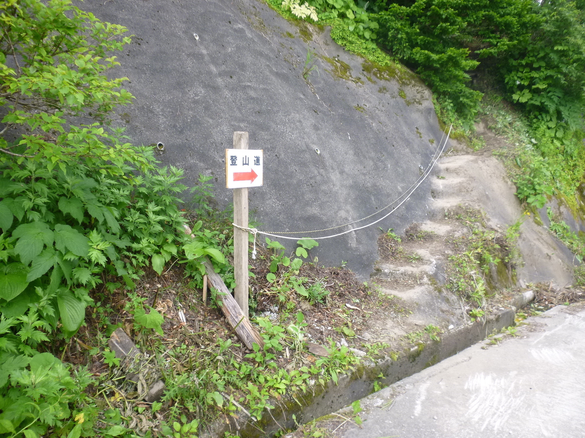写真：白木峰　登山道ルート1