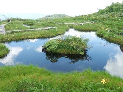 写真：浮島の池