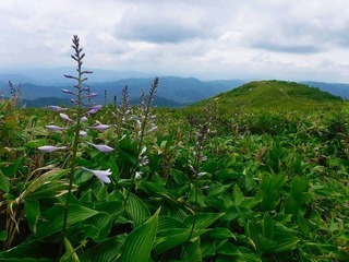 写真：白木峰の様子16