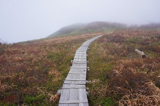 写真：白木峰の様子2