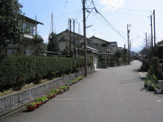 写真：住宅地