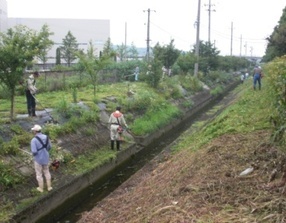 写真：草刈り作業状況