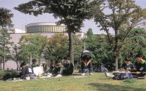 写真：城南公園