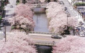 写真：松川公園