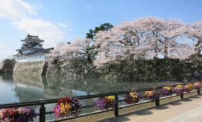 写真：城址公園