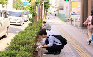 写真：植栽の様子1