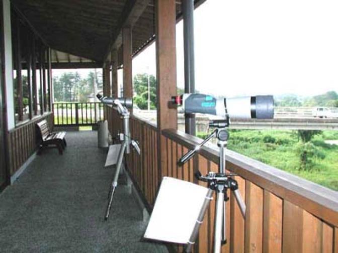 写真：展望デッキ