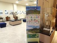 写真：企画展「とやまの山歩き」展示風景