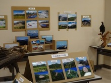 ミニ企画展展示の写真